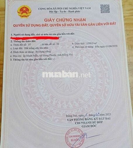 Nhà vườn 1300m2, cây ăn trái đường nhựa 8m thông , giá 420 triệu
