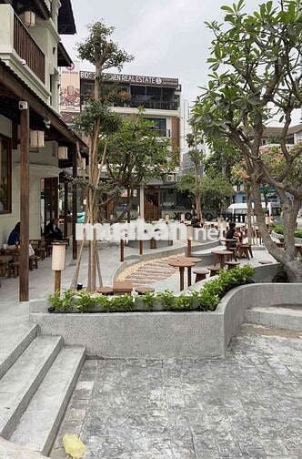🏡 Cho Thuê Biệt Thự Hoa Mai, Quận Phú Nhuận🏡
