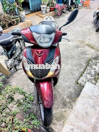 Honda Super Cub Custom C70 1996 Xanh rêu