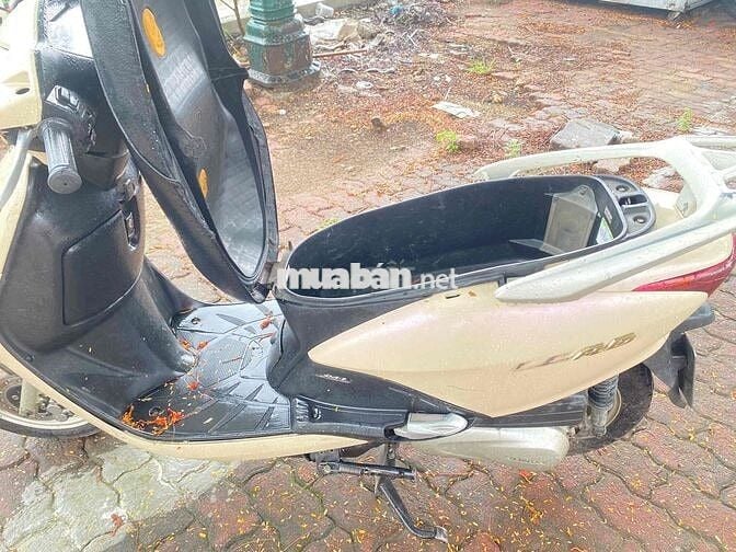 Honda Lead Vàng kem Xe tay ga