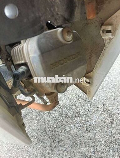 Honda Wave 110 2019 Trắng Việt Nam