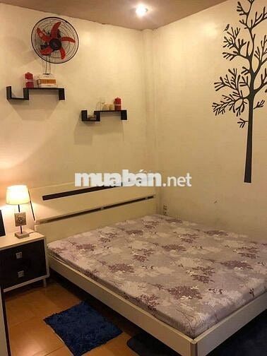 Hẻm Xe Hơi Lý Thường Kiệt Q.10, Gần DH Bách Khoa, 1 Trệt 1 Lầu, 2PN 2W