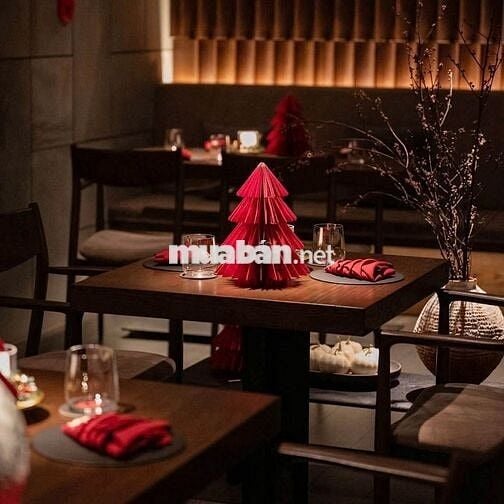 MT ĐẶNG DUNG, KINH DOANH BUÔN BÁN ĐA NGÀNH