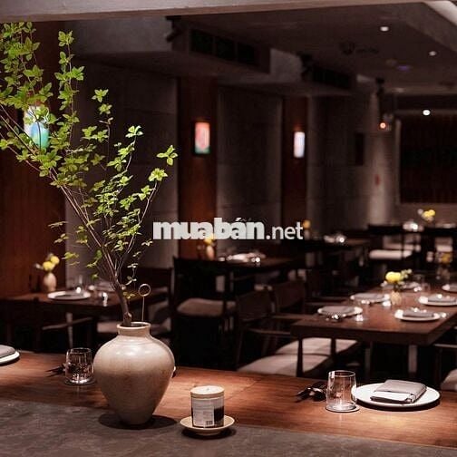 MT ĐẶNG DUNG, KINH DOANH BUÔN BÁN ĐA NGÀNH