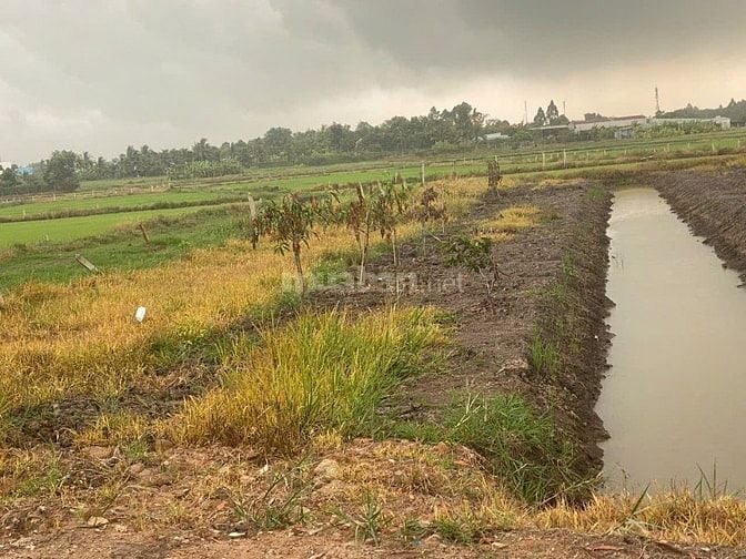 Bán miếng đất vườn 600m2 tại Ngã tư xã Phước Thạnh, củ chi giá 900