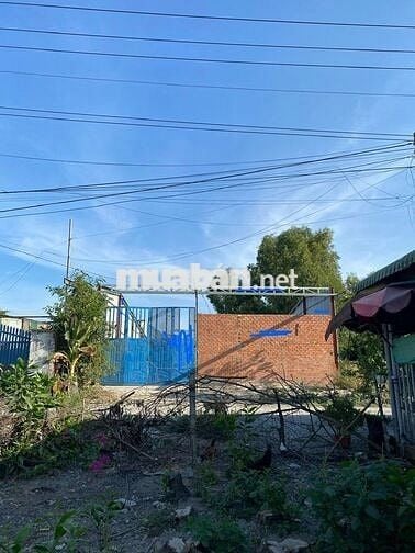 Đất thổ cư tan uyen ngộp cần bán gấp