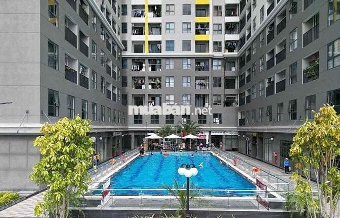 Chủ Cần Tiền Gấp Bán Căn góc Tầng thấp ( chỉ bán giá này trong tuần)