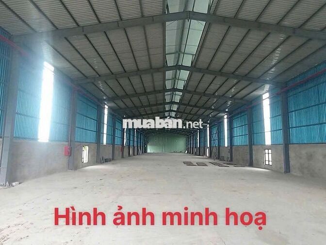 KHO 500-1000M2 GẦN LÊ TRỌNG TẤN- GẦN BẾN XE