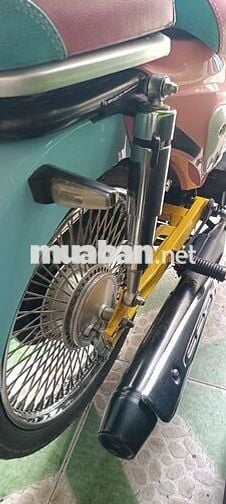 Honda Cub 50cc Đa sắc Cả nam và nữ
