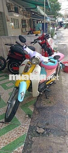 Honda Cub 50cc Đa sắc Cả nam và nữ