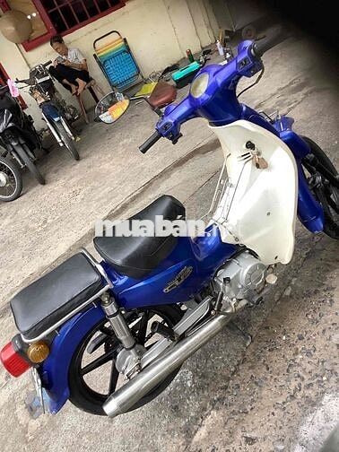 Cub 50 đời 2019 Xanh cho học sinh đi học