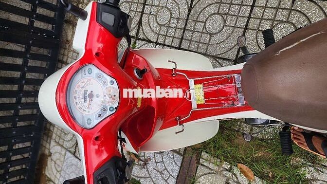 SYM Angela 50cc Trắng, Đỏ