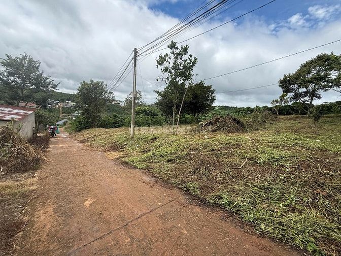 1000m2 Đất Di Linh 100m2 thổ cư ngay KDC giá 1,450tr