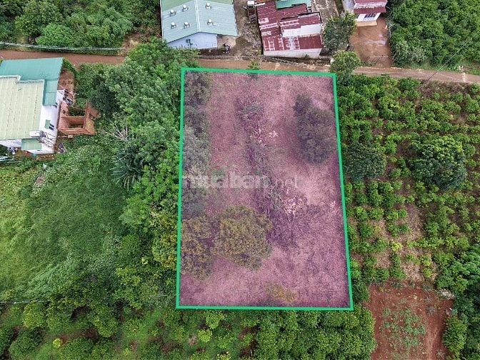 1000m2 Đất Di Linh 100m2 thổ cư ngay KDC giá 1,450tr