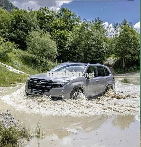 Subaru Forester 2025