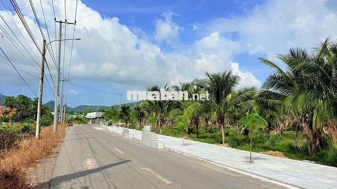 BÁN ĐẤT VƯỜN GIÁ TỐT TẠI BIỂN PHƯỚC HẢI, 240M2 Chỉ 1TY450 