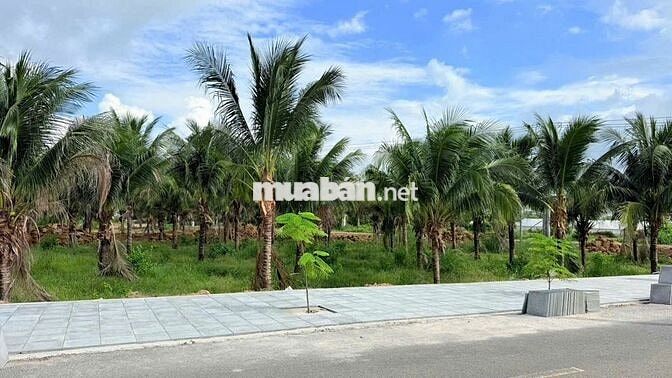 BÁN ĐẤT VƯỜN GIÁ TỐT TẠI BIỂN PHƯỚC HẢI, 240M2 Chỉ 1TY450 