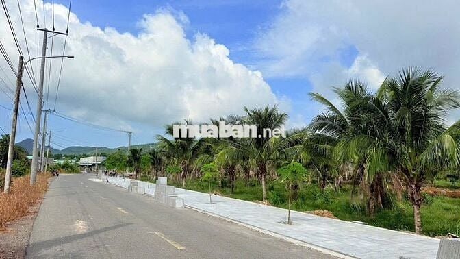 BÁN ĐẤT VƯỜN GIÁ TỐT TẠI BIỂN PHƯỚC HẢI, 240M2 Chỉ 1TY450 
