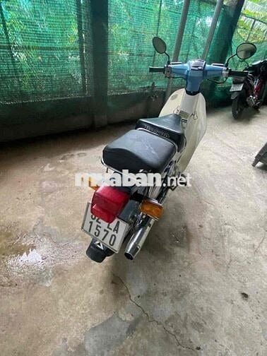 Honda Cub Nhật 84