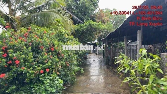 Ngân hàng thanh lý lô đất full thổ cư tại Bình Đức, Long Xuyên