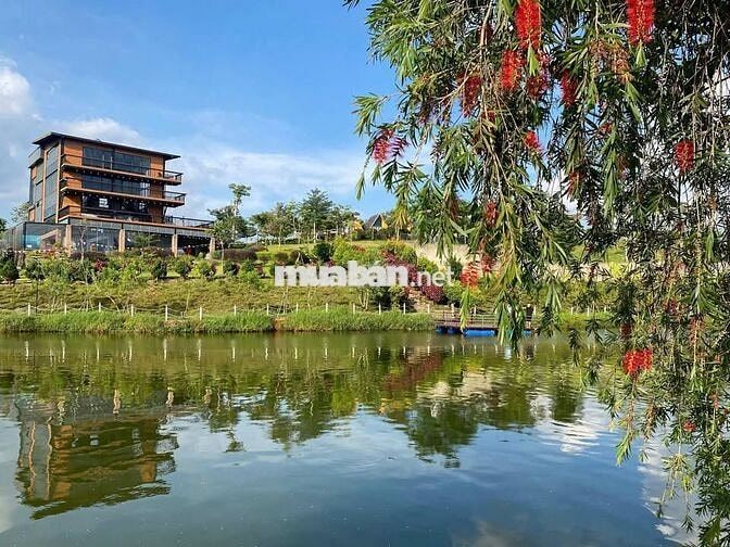 CHÍNH CHỦ BÁN ĐẤT THỔ CƯ 5*30M P2, BẢO LỘC NGAY TÂM CHÂU FARM
