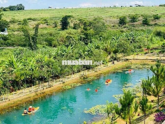 CHÍNH CHỦ BÁN ĐẤT THỔ CƯ 5*30M P2, BẢO LỘC NGAY TÂM CHÂU FARM