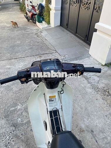 Honda Dream CiTi Xe Đẹp Mấy Zin