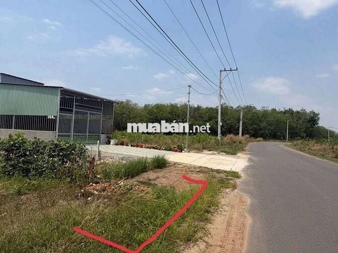 Xưởng Tân Hiệp đất 5000m xưởng 700 có hoàn công 55 triệu/tháng