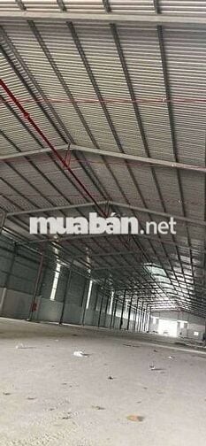 Xưởng Phước Thạnh Củ Chi 3125m giá 75 triệu
