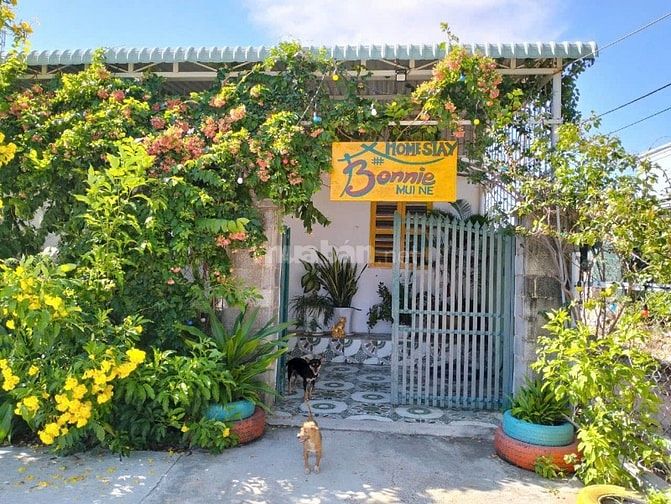  Cần cho thuê Homestay 17 phòng ngủ, gần  biển Hàm Tiến , Mũi Né