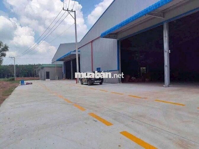 Xưởng Bàu Bàng đất 5000m xưởng 1800m giá 100 triệu/tháng