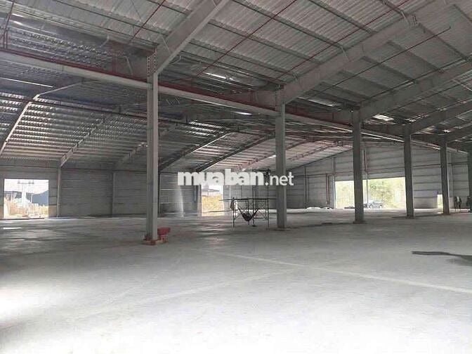 Xưởng Bàu Bàng đất 5000m xưởng 1800m giá 100 triệu/tháng