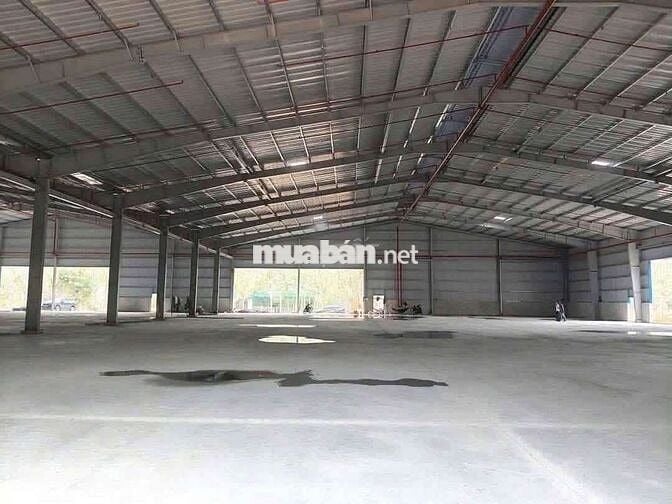 Xưởng Bàu Bàng đất 5000m xưởng 1800m giá 100 triệu/tháng