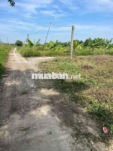 400m2 đất view sông Thăng Long