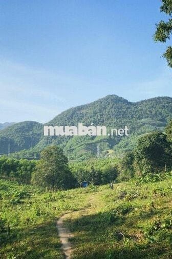 Bán đất trồng cây lâu năm ở Đà Nẵng