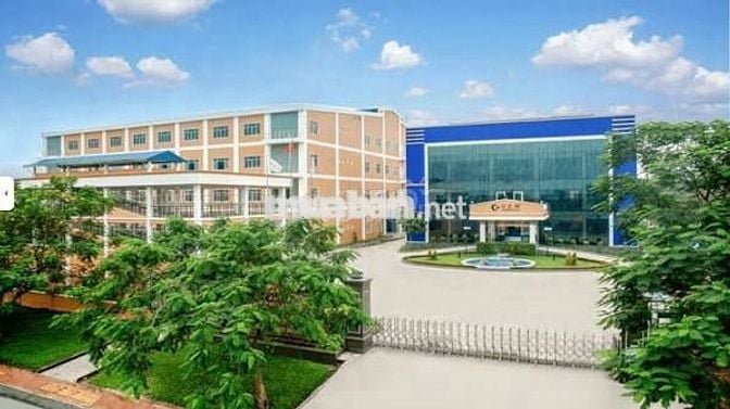 TÂN UYÊN - TUYỂN LĐPT - BAO CƠM CA, HỖ TRỢ TÌM TRỌ
