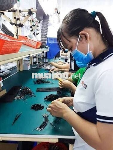 BÀU BÀNG -  TUYỂN LĐPT - MIỄN PHÍ TRỌ - BAO CƠM CA