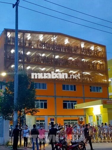 BÀU BÀNG -  TUYỂN LĐPT - MIỄN PHÍ TRỌ - BAO CƠM CA