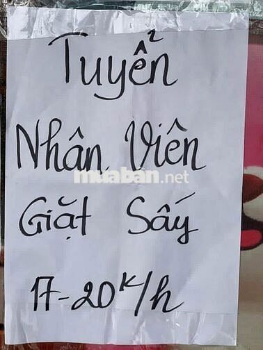 [KO CẦN KN] NHÂN VIÊN GIẶT SẤY CẦN THƠ