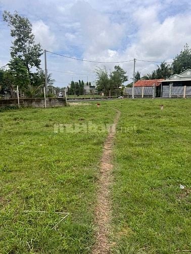 BÁN ĐẤT BÌNH MỸ CỦ CHI – SỔ HỒNG RIÊNG – ĐƯỜNG NHỰA Ô TÔ