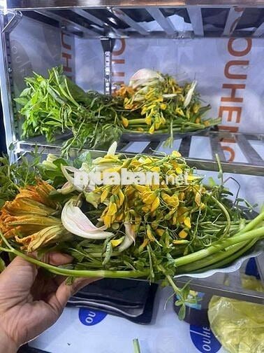 [LÀM NGAY] NAM PHỤC VỤ KHU GIẢNG VIÊN