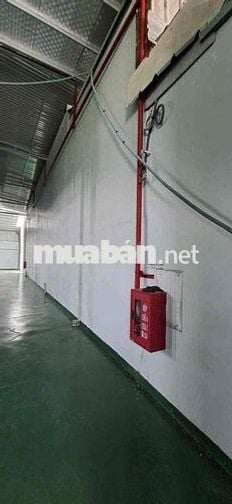 CHO THUÊ XƯỞNG TÂN HIỆP HÓC MÔN GIÁ TỐT