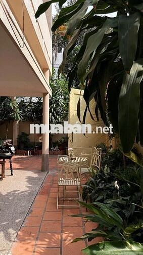 Ngang 10m villa mặt tiền trung tâm Phú Nhuận