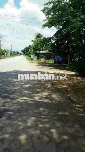 Đất mặt tiền TL 825 Đức Hoà Long An 500 M2