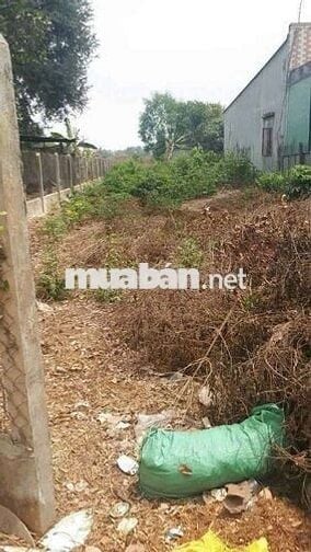 Đất mặt tiền TL 825 Đức Hoà Long An 500 M2