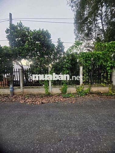 Bán nền nhà mặt tiền đường xe 30 chỗ, view sông thoáng mát.