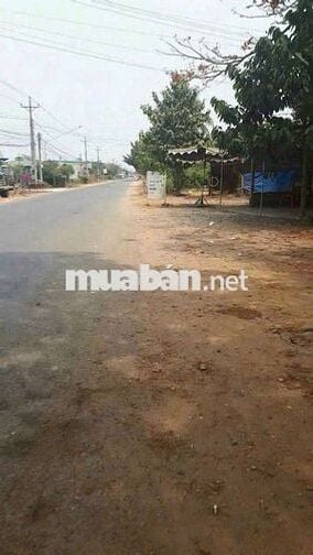 Đất mặt tiền TL 825 Đức Hoà Long An 500 M2
