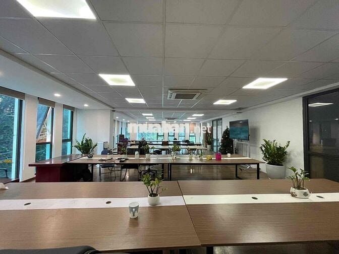 🏢 CHO THUÊ TÒA NHÀ GÓC 2 MẶT TIỀN PHAN ĐĂNG LƯU DT 10 X 20M, PHÚ NHUẬN