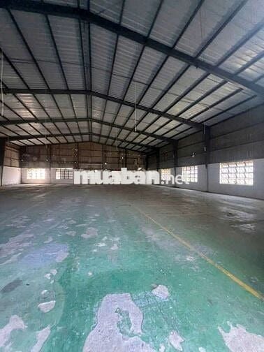 xưởng cho thuê Tân Phú Trung củ Chi TP HCM giá 55 triệu