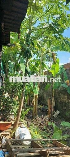 📢📢 CHO THUÊ MẶT TIỀN KINH DOANH- VỊ TRÍ ĐẸP TẠI ĐỨC HÒA - LONG AN.